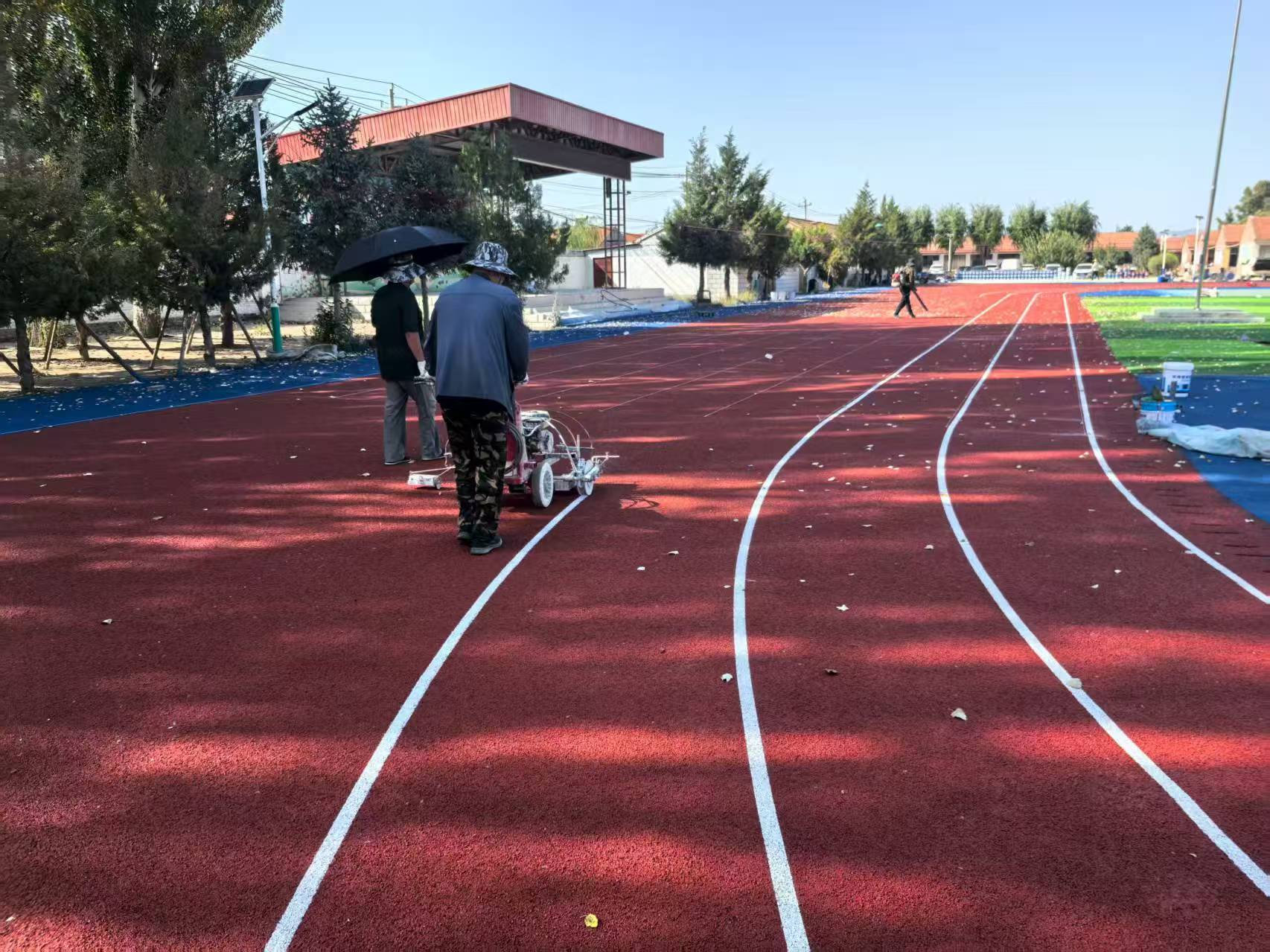 齐齐哈尔市EPDM塑胶跑道塑胶跑道材料 - 推荐